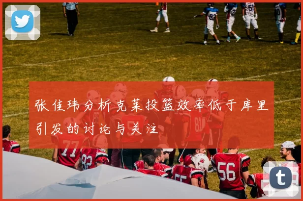 张佳玮分析克莱投篮效率低于库里引发的讨论与关注