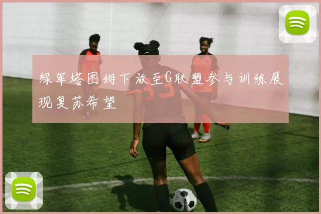 绿军塔图姆下放至G联盟参与训练展现复苏希望
